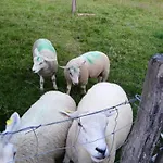 Privatunterkunft Au Relais Du Coq Hardi