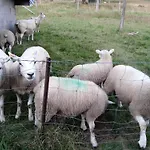Au Relais Du Coq Hardi * Le Clerjus